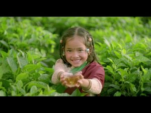 Teas From India